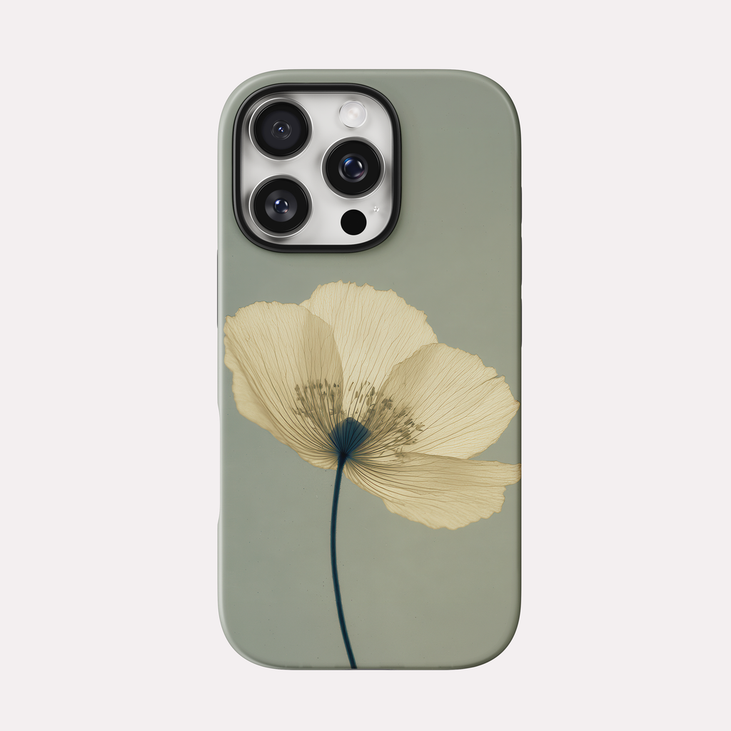 Poppy - Coquelicot crème fond sauge